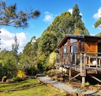 Southern Forest Accommodation - Mackay Tourism