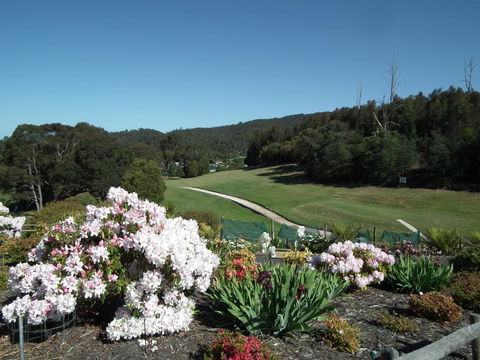 Harlea - Mackay Tourism 16