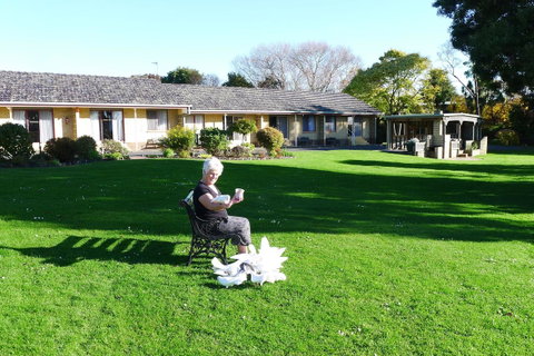 Willaway Motel Apartments - Mackay Tourism 10