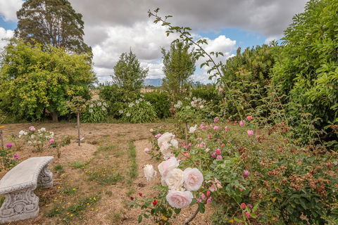 Glencoe Country Bed And Breakfast - Mackay Tourism 21