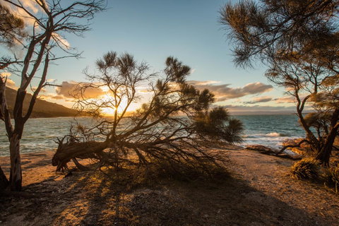 Freycinet Lodge - Mackay Tourism 44