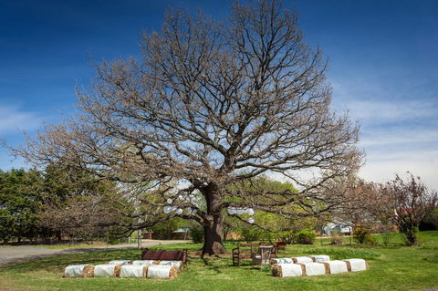 Ratho Farm - Mackay Tourism 8