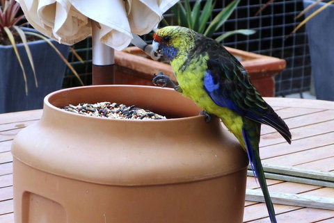 THE LOFT @ Bay Of Fires Seascape - Mackay Tourism 22