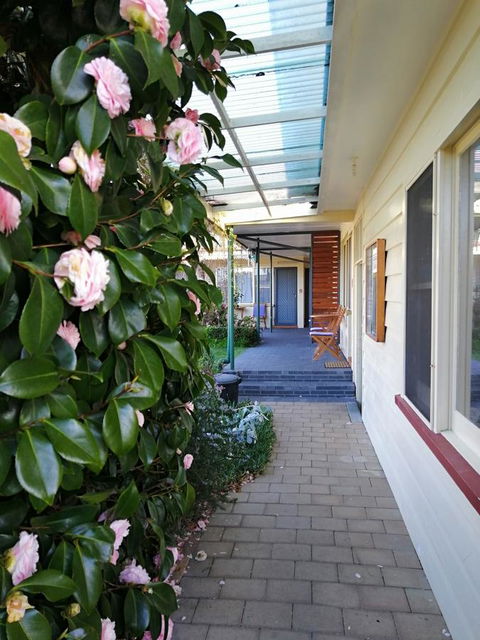 Wintersun Gardens Motel - Mackay Tourism 5