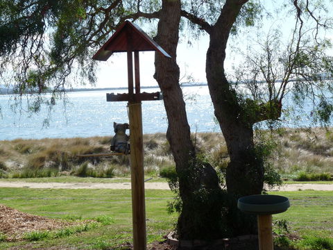 Swansea Motor Inn Tasmania - Mackay Tourism 20