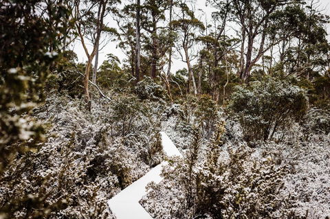 Cradle Mountain Hotel - Mackay Tourism 6