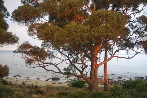 Beachside Taroona With Spa - Mackay Tourism 18