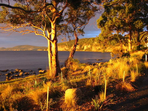 Beachside Taroona With Spa - Mackay Tourism 19