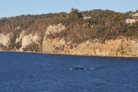 Beachside Taroona With Spa - Mackay Tourism 29