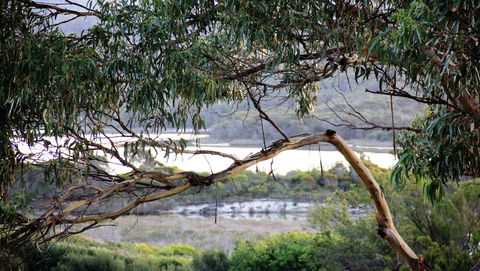 KINGFISHER COTTAGE Beachfront At The Binalong Bay - Mackay Tourism 17