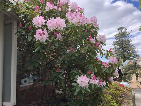 Studio SixA ... A Haven In The Heart Of Hobart - Mackay Tourism 19
