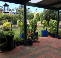 Blue Wren Bungalow - Mackay Tourism