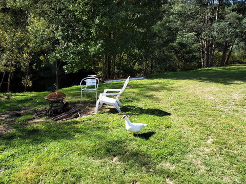 Wanderlust Cottage - Mackay Tourism 18