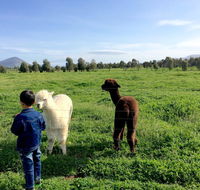 Taras Richmond Farmstay - Mackay Tourism