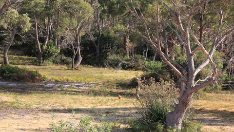 BAY OF FIRES SEACHANGE Ocean Frontage - Mackay Tourism 12