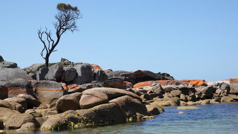 BAY OF FIRES SEACHANGE Ocean Frontage - Mackay Tourism 21