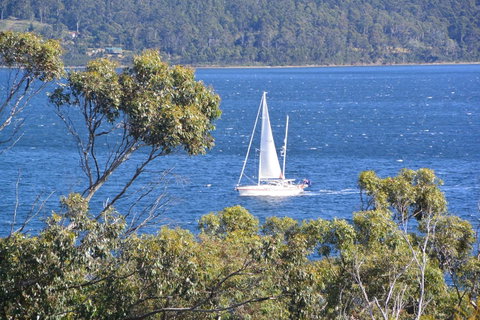 The Tree House - Mackay Tourism 5