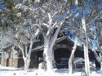 Book Dinner Plain Accommodation Vacations Mackay Tourism Mackay Tourism