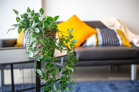 Brand New One/Two - Bed Room Apartment @ Maribyrnong - Mackay Tourism 0