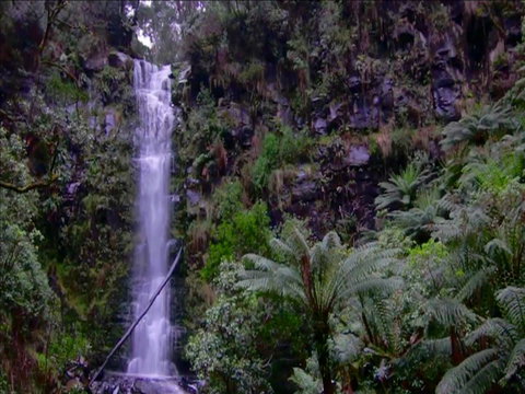 Great Ocean Road Resort - Mackay Tourism 16