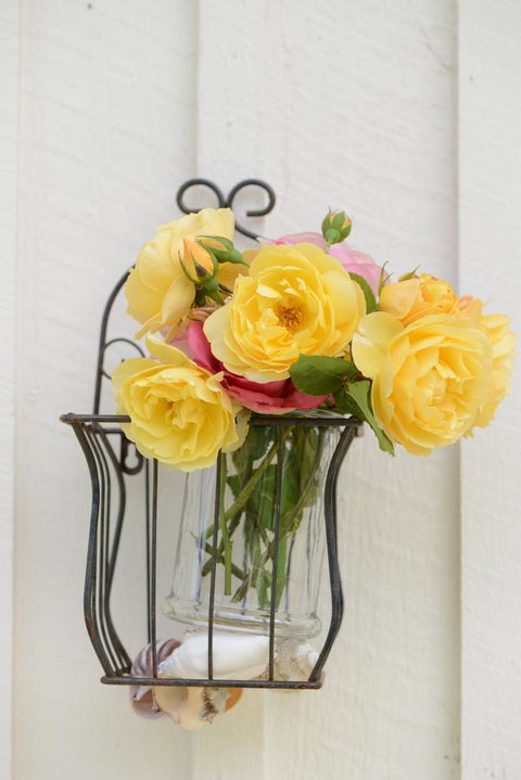 The Cottage - Mackay Tourism 38