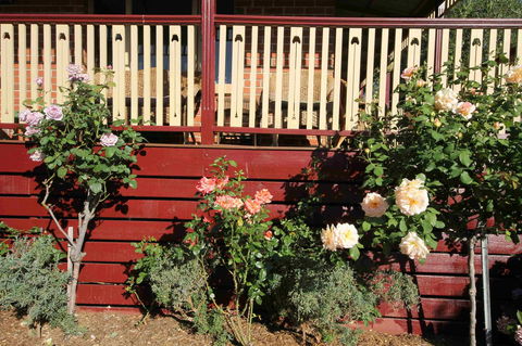 Oxford Rise Apartment - Mackay Tourism 21