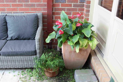 Oxford Rise Apartment - Mackay Tourism 16