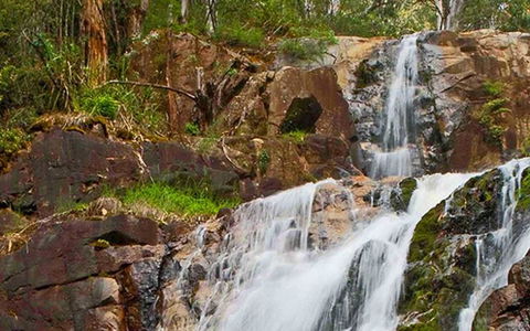 Marysville Caravan And Holiday Park - Mackay Tourism 37
