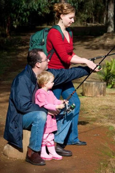 Marysville Caravan And Holiday Park - Mackay Tourism 22