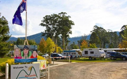 Marysville Caravan And Holiday Park - Mackay Tourism 34