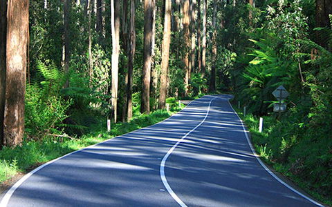 Marysville Caravan And Holiday Park - Mackay Tourism 40