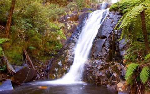 Marysville Caravan And Holiday Park - Mackay Tourism 32