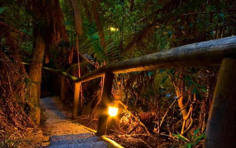 Marysville Caravan And Holiday Park - Mackay Tourism 27