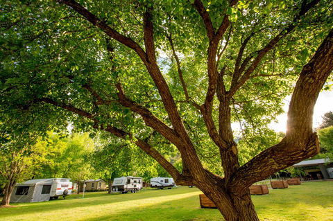 Discovery Parks - Bright - Mackay Tourism 31
