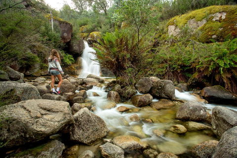 Discovery Parks - Bright - Mackay Tourism 21