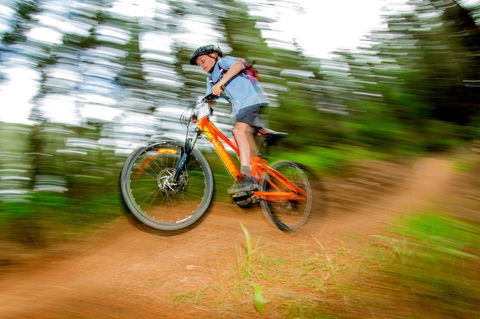 Discovery Parks - Bright - Mackay Tourism 24