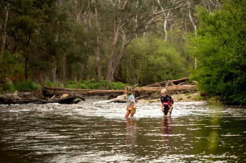 Discovery Parks - Bright - Mackay Tourism 20