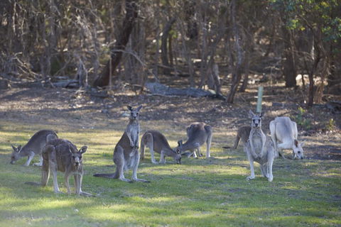 Yering Gorge Cottages - Mackay Tourism 14