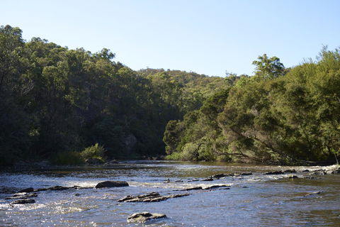 Yering Gorge Cottages - Mackay Tourism 21