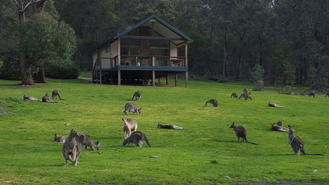 Yering Gorge Cottages - Mackay Tourism 6