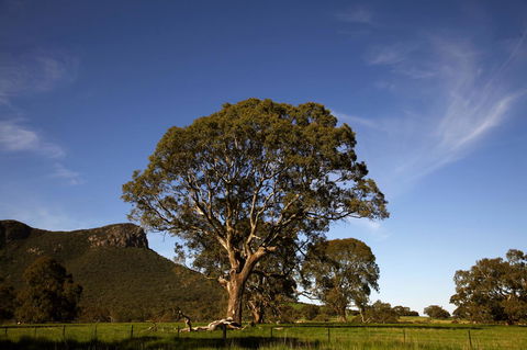 Dunkeld Studio Accommodation - Mackay Tourism 23