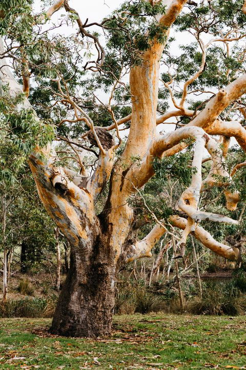 Dunkeld Studio Accommodation - Mackay Tourism 22
