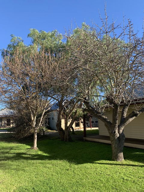 Dunkeld Studio Accommodation - Mackay Tourism 4