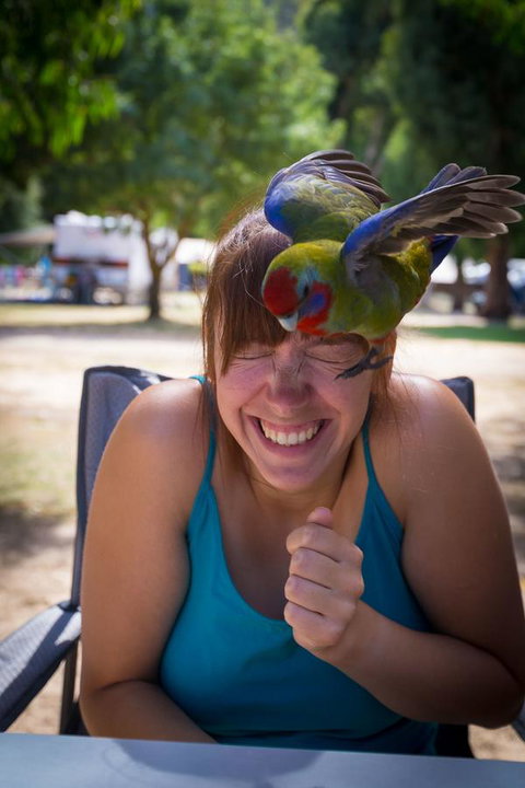 Halls Gap Lakeside Tourist Park - Mackay Tourism 5