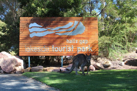 Halls Gap Lakeside Tourist Park - Mackay Tourism 3