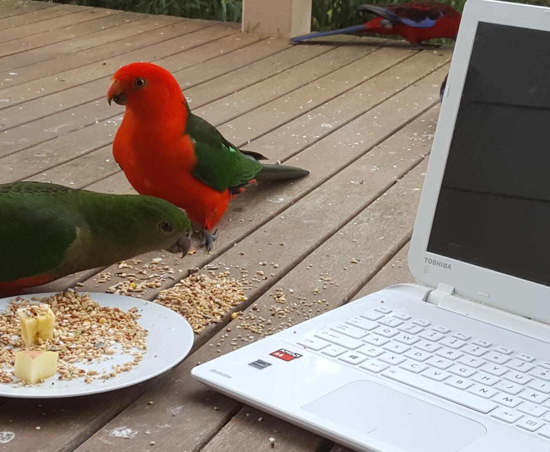 Turtons Creek VIC Mackay Tourism