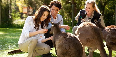 Balgownie Estate Yarra Valley - Mackay Tourism 10