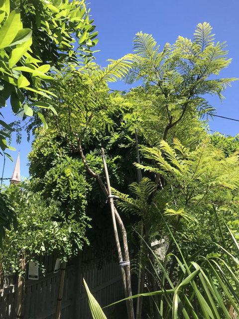 CROWN CENTRAL BUSINESS DISTRICT MOTEL - NO UNDER 18s - Mackay Tourism 12