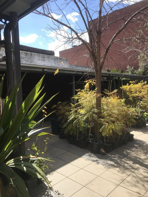 CROWN CENTRAL BUSINESS DISTRICT MOTEL - NO UNDER 18s - Mackay Tourism 21