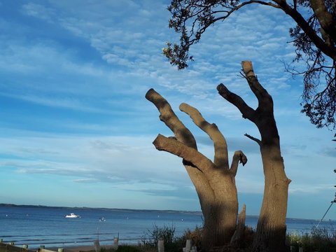 Apartments In Phillip Island Towers - Block C - Mackay Tourism 10